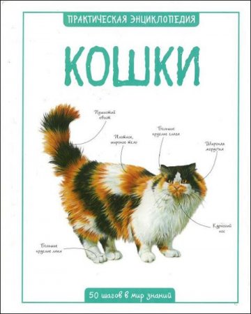 Обложка к К. Бедуайер. Кошки. Практическая энциклопедия